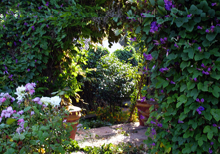 Holiday cottages for couples in Pelayo lovely garden