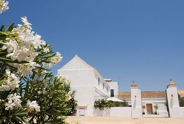 ZC82 Villa under Andalusian sunshine