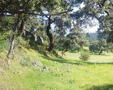 Rusticblue villas rental Andalucia