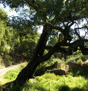 Rusticblue villas rental Andalucia