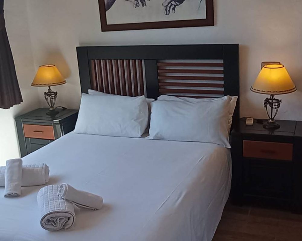 IMG_20240424_123024 IMG_20240424_123024