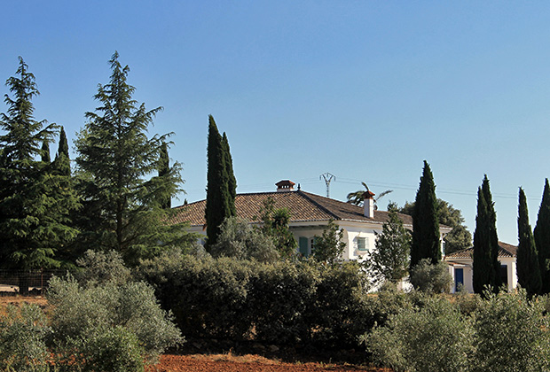 ZC112 Classical country villa in Ronda
