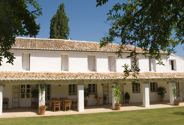 ZC79 Holiday villa in Arriate Ronda