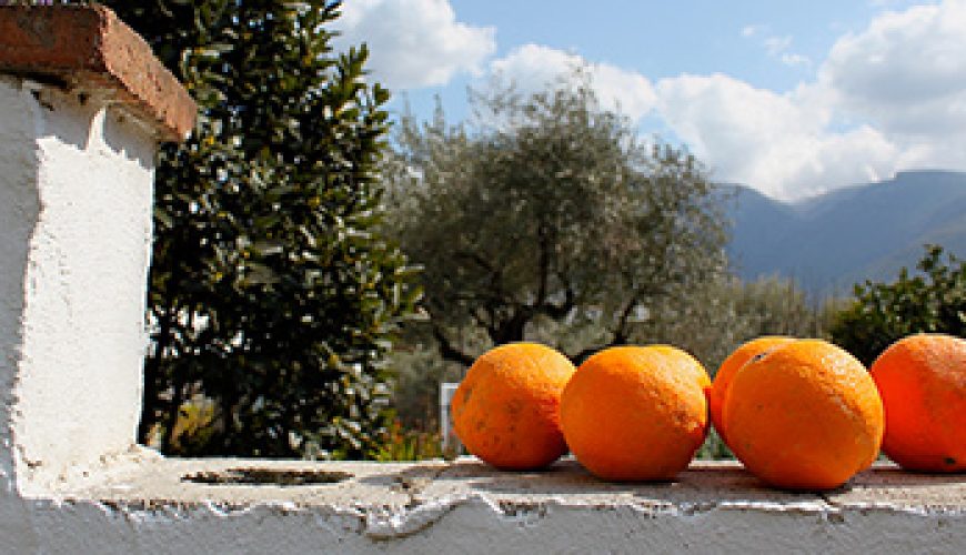 Rusticblue holiday villas rental in Andalucia Spain